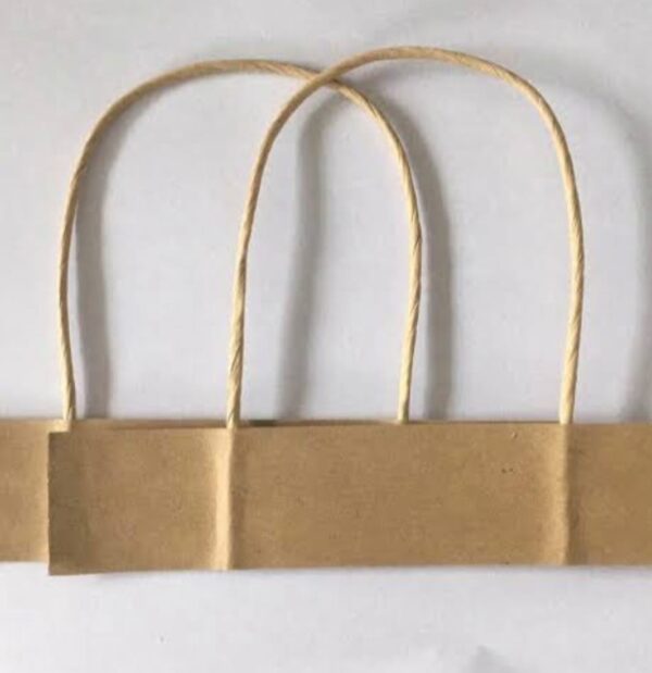 Twisted Paper Handle - Image 3